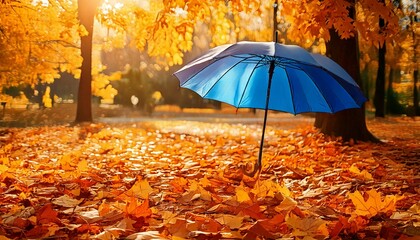  Beautiful autumn background landscape. Carpet of fallen orange autumn leaves in park and blu.jpg