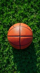 basketball ball on grass