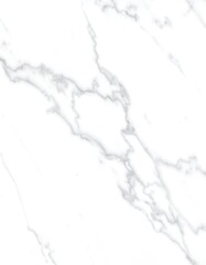 Obraz premium A detailed close-up view of a white marble-like surface with flowing, elegant veining patterns.