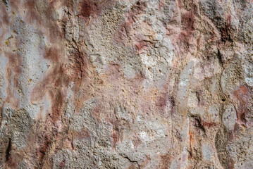 Details of texture of Paleozoic limestone rock in Poland