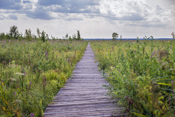 Obraz premium Wooden walkway called Dluga Luka on a Lawki swamps in Biebrza National Park, Podlasie region of Poland