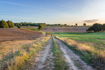 Fototapeta premium Country lande among fields in rural area of Nowe Miasto County in Poland
