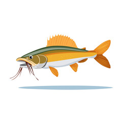 Cartoon fish illustration with barbels swimming underwater wildlife design