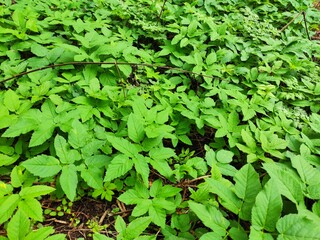 Beautiful nature photos