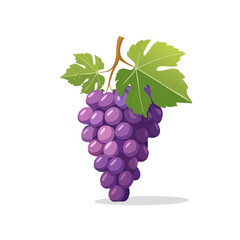 Illustration of a purple grape cluster hanging with leaves. Healthy fruit concept.