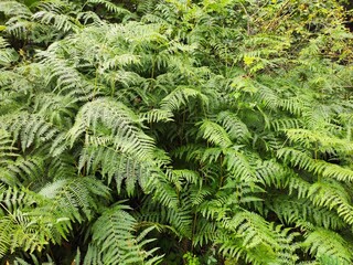 Beautiful nature photos