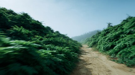 Fototapeta premium Mystical fern-laden path winds through foggy forest, evoking Celtic Samhain reverie and elusive woodland sprite tales