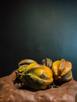 Cacao Pods and Beans in a Chocolate Bowl