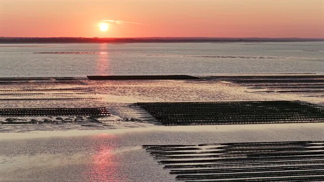 Aerial view of Oyster farm at sunset	