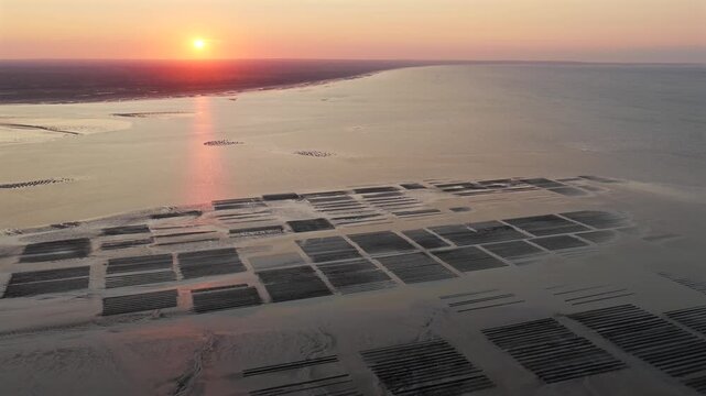 Aerial view of Oyster farm at sunset	