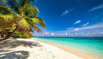 Obraz premium Beautiful tropical beach with white sand, palm trees, turquoise ocean against blue sky with .jpg