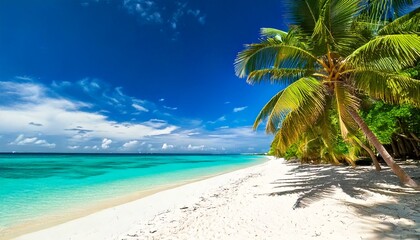 Obraz premium Beautiful tropical beach with white sand, palm trees, turquoise ocean against blue sky with .jpg