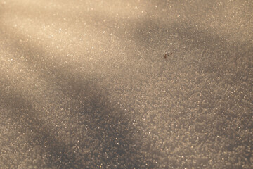 vista macro ravvicinata di cristalli naturali di neve, distesi su un terreno in un ambiente di montagna, in Italia, in inverno ed illuminati dal sole