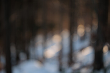 dettaglio di un'immagine sfuocata che ritrae un ambiente naturale in mezzo ad una foresta di montagna, al tramonto