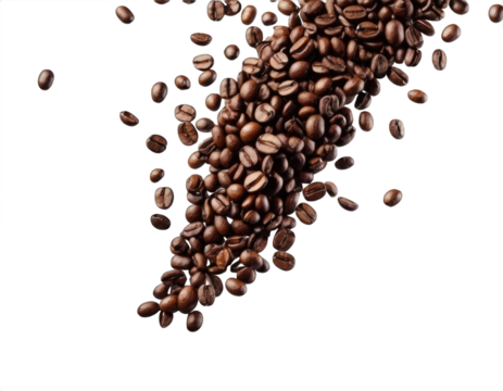 Lots of coffee beans falling from above on a transparent background