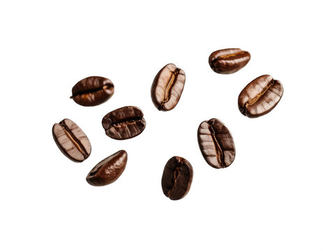 Coffee beans on transparent background