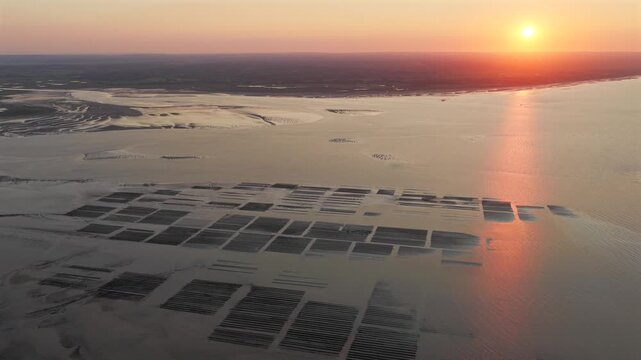 Aerial view of Oyster farm at sunset	