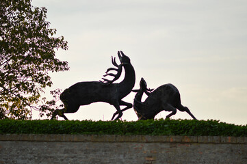 Petrovaradin Fortress in sunny autumn day in November