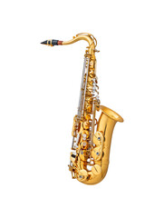 A detailed saxophone showcasing its design and features
