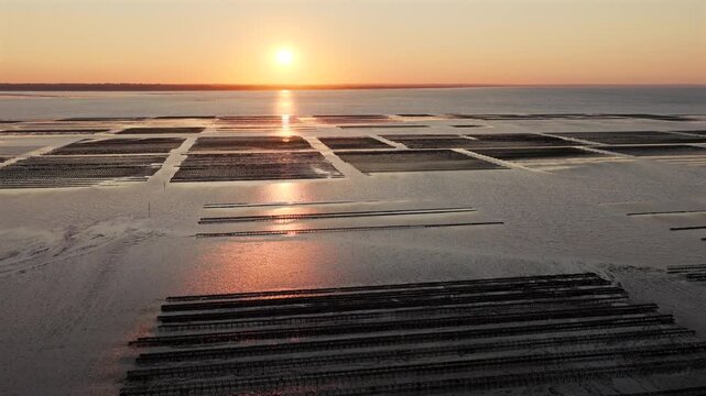 Aerial view of Oyster farm at sunset	