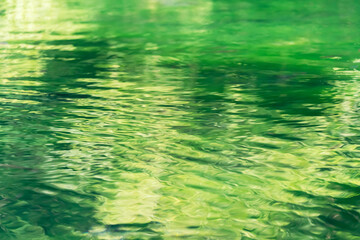 清らかな池の水に映る木々の緑と波紋