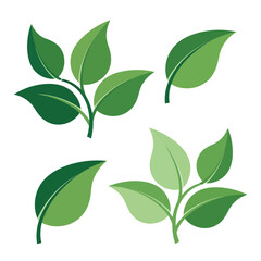 Vector art of collection of green leaves on a, symbolizing nature and growth