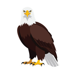 Vector art of majestic bald eagle standing