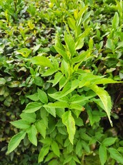 Beautiful nature photos