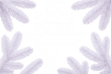 Christmas border made of white fir branches on a transparent background, perfect for festive designs