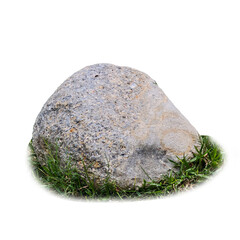 Stone in the Meadow: A weathered stone nestled in a patch of vibrant green grass, showcasing the enduring beauty of the natural world.