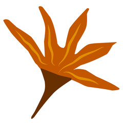 Autumn leaf vector illustration, perfect for complete autumn theme design