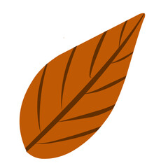 Autumn leaf vector illustration, perfect for autumn theme design
