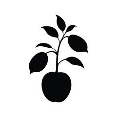 A striking black silhouette illustration of a young apple tree sapling, Apple tree silhouette vector illustration