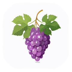 Purple Grape Bunch with Leaves Illustration for Fruit Food Nutrition Concepts