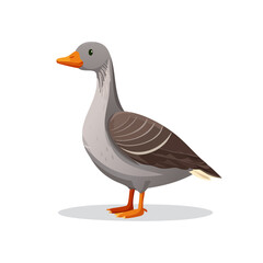 Illustration of a gray goose with orange beak cartoon style avian animal isolated