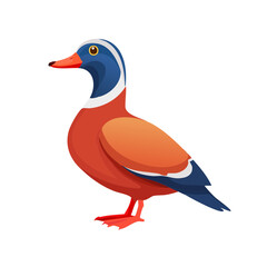 Cartoon duck illustration colorful bird waterfowl avian species in nature animal design