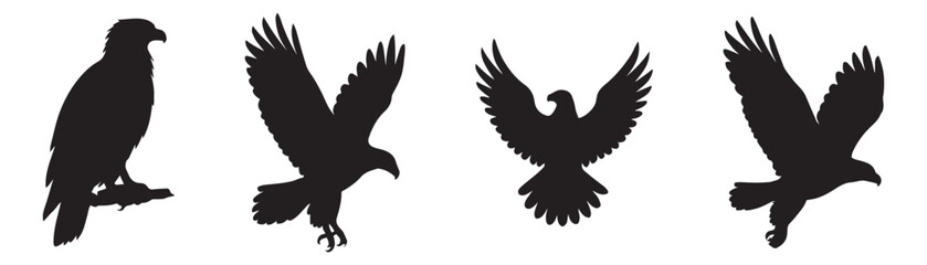 Obraz premium black and white eagles silhouettes
