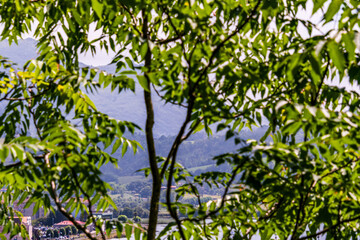 Paisaje en Ribadesella, Asturias, España.