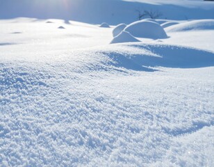 Sparkling Winter Landscape with Fresh Snow in Sunlight and Snowdrift on the Ground