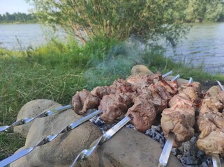 Barbecue in nature. barbecue on the lake shore. Meat on skewers. Outdoor recreation