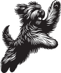 Briard Dog vector in black and white 