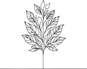 Plant and floral line art illustration