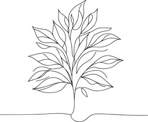 Plant and floral line art illustration