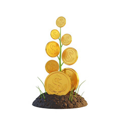 Golden coin plant isolated on transparent background