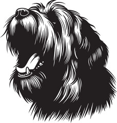 Briard Dog vector in black and white 