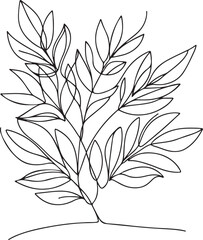 Obraz premium Plant and floral line art illustration