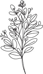Plant and floral line art illustration
