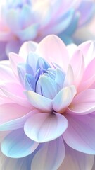 Fototapeta premium A close-up, delicate image showcasing a vibrant dahlia flower with pastel hues of pink, light blue, and white.