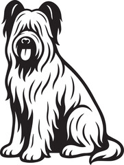 Briard Dog vector in black and white 