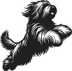 Briard Dog vector in black and white 